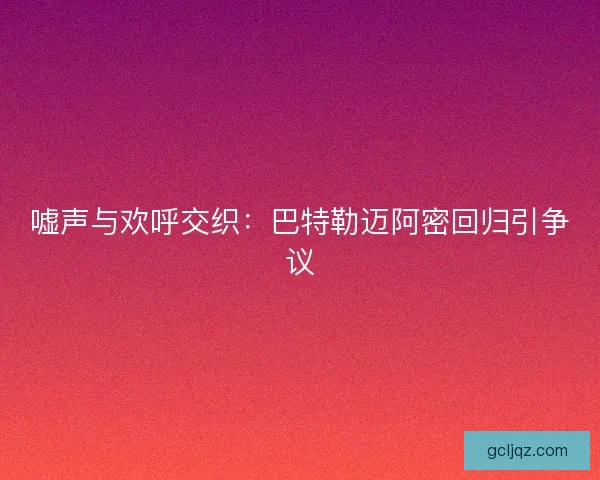 嘘声与欢呼交织：巴特勒迈阿密回归引争议